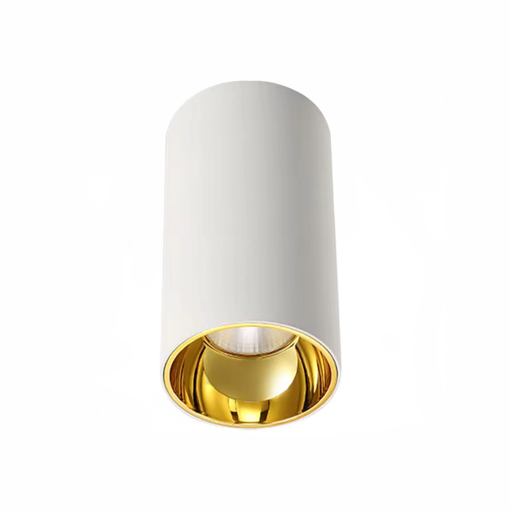 Surface downlight Gold Cylinder ZTUBE-10.75.CCT.WHG LED 10W Surface downlight Gold Cylinder ZTUBE-10.75.CCT.WHG LED 10W