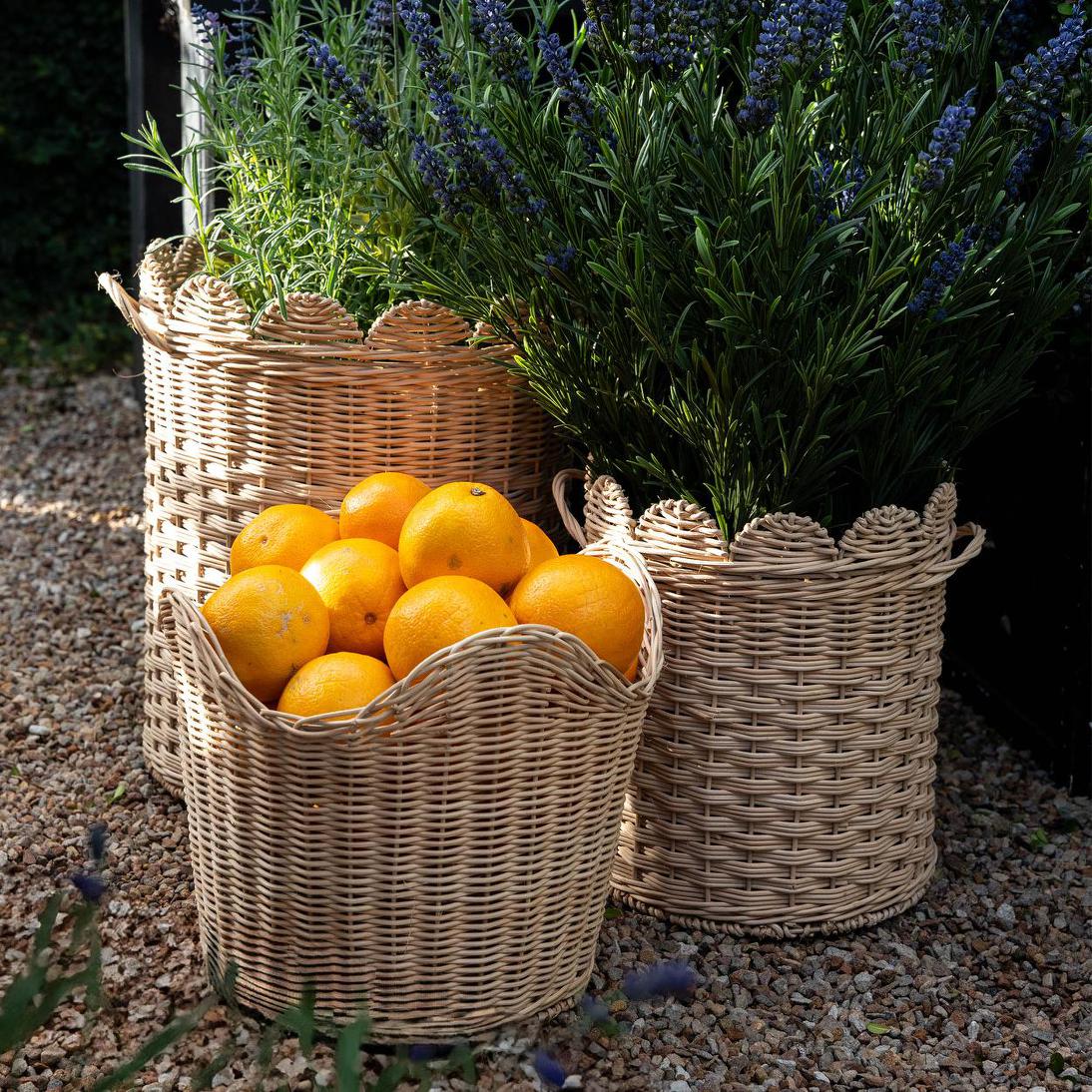 Festonne Planter Basket