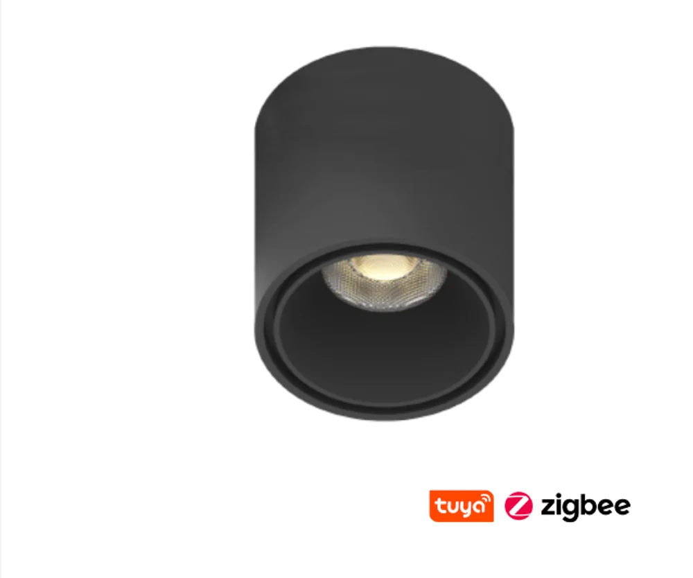 Track Cylinder spotlight Z3022-6.36.CCT.BK 48V 6W WIFI