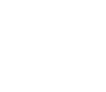 Cougar Lighting Cougar Lighting
