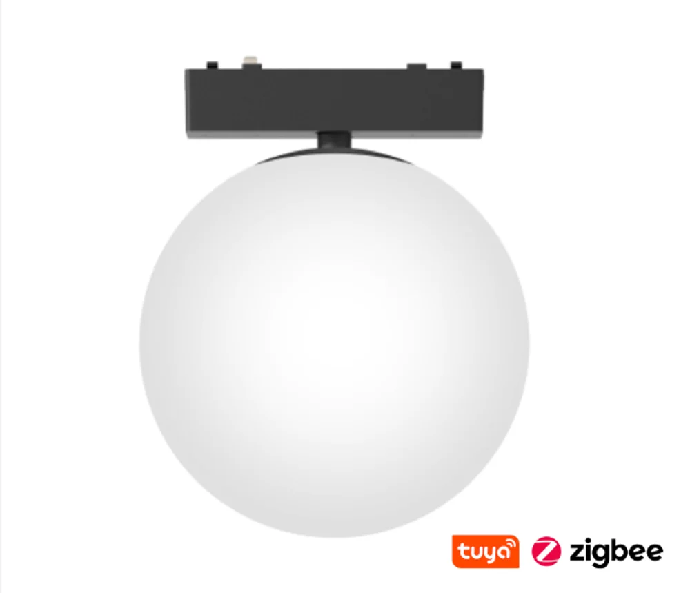 Track Opal Glass Ball Z3056-6.OP.CCT.BK 48V 6W WIFI