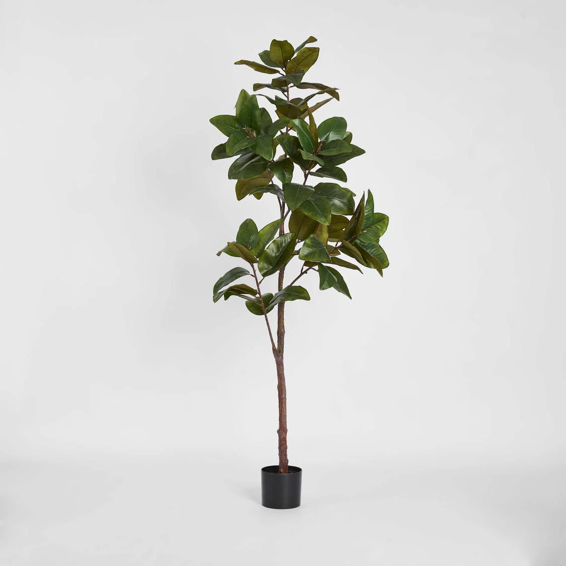 Magnolia Tree Real Touch 1.7M
