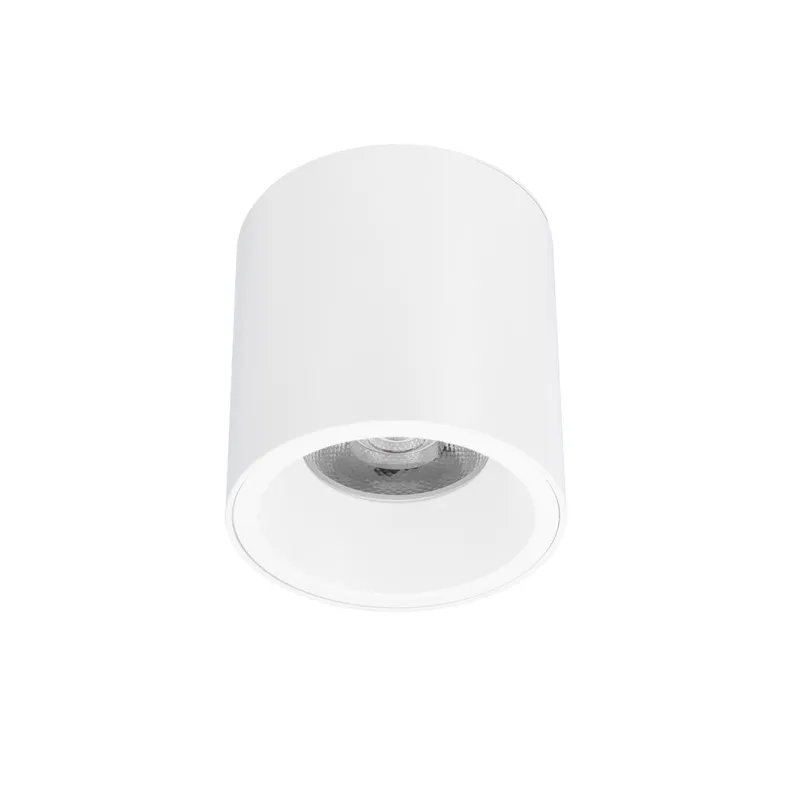 Surface downlight Cylinder Z18842-12.60.30.WH LED 12W 3K Surface downlight Cylinder Z18842-12.60.30.WH LED 12W 3K