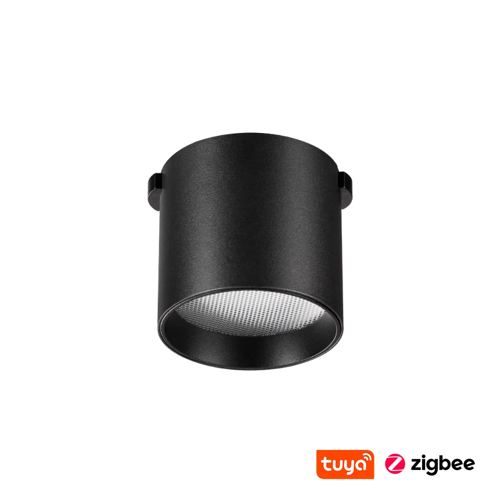 Track Cylinder floodlight Z5021-6.36.CCT.BK 24V 6W WIFI