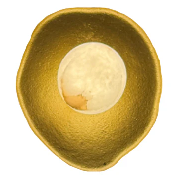 Wall light Vesta large LED D25 BRS
