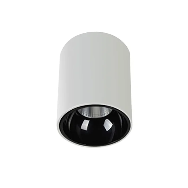 Surface downlight Gold Cylinder ZTUBE-10.95.CCT.WHB LED 10W Surface downlight Gold Cylinder ZTUBE-10.95.CCT.WHB LED 10W