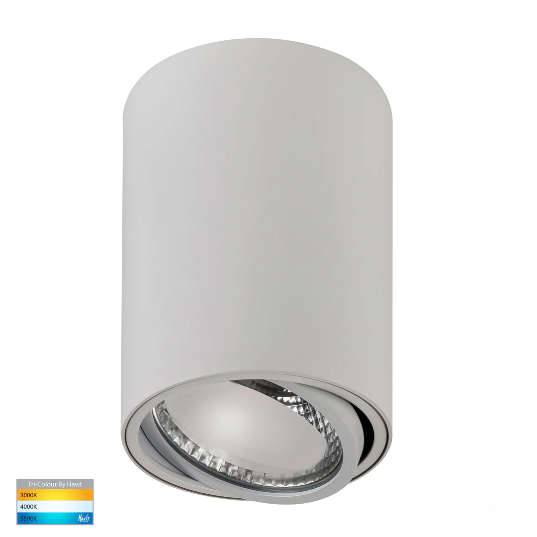 Surface downlight Nella WHT Adjustible 3CCT LED 12W IP54