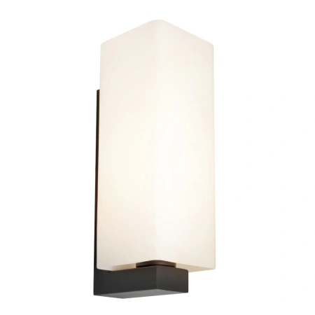 Wall light RAMON 1LT BLACK