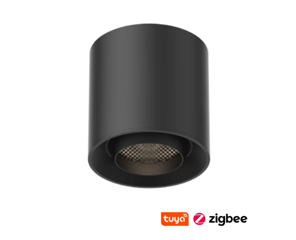 Track Cylinder spotlight Z3021-6.36.CCT.BK 48V 6W WIFI