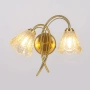 Wall light Coraline 2lt G9 ch/brs
