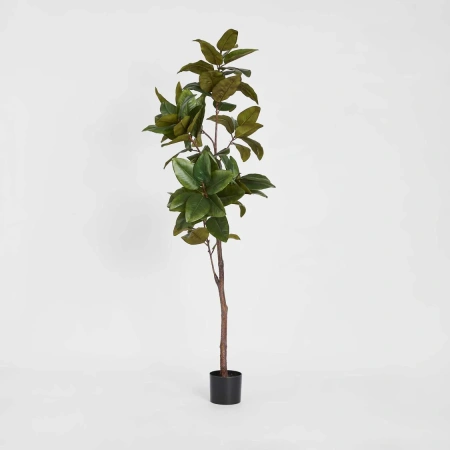 Magnolia Tree Real Touch 1.7M