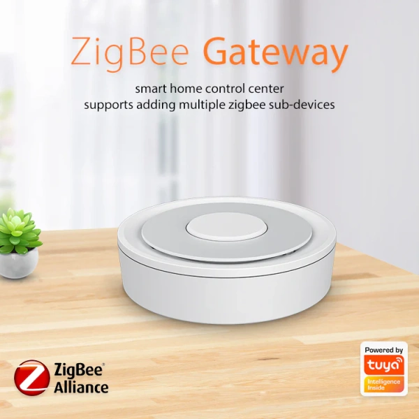 Hub Zigbee Wifi with switch WHT