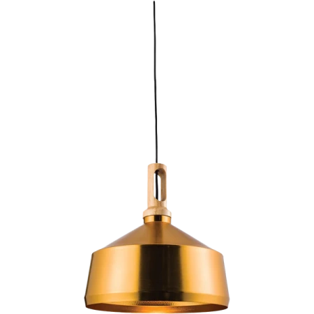 Pendant Light Biorn Angled Gold