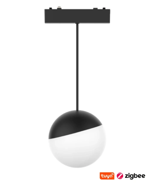 Track Opal S Ball Z3065-6.OP.CCT.BK 48V  6W WIFI