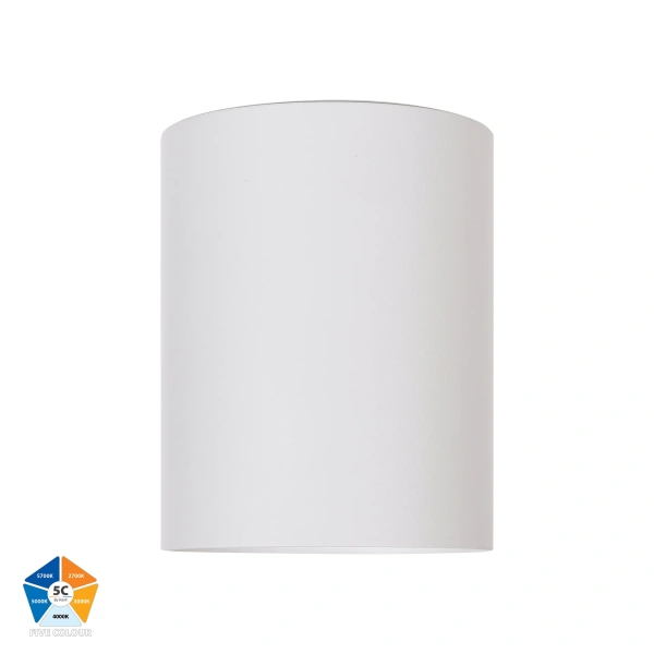 Surface downlight Nella 12V 18W 5CCT LED WHT