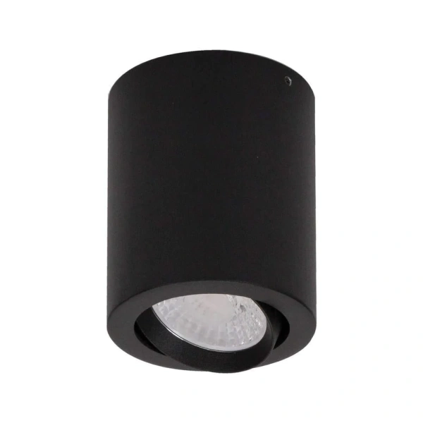 Downlight NEO-10-SM-TILT-BLK 21115 3000K