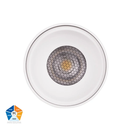 Surface downlight Nella WHT 5CCT LED 12W IP54