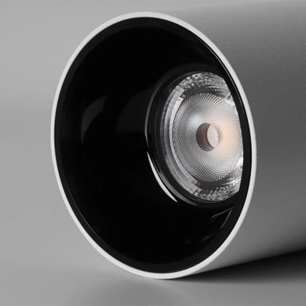 Surface downlight Gold Cylinder ZTUBE-10.95.CCT.WHB LED 10W Surface downlight Gold Cylinder ZTUBE-10.95.CCT.WHB LED 10W