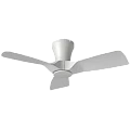 Ceiling fans 30