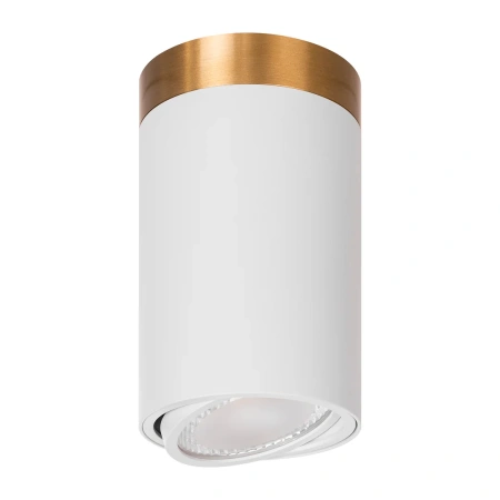 Surface downlight Gold Ring to Suit HV5813, HV5842