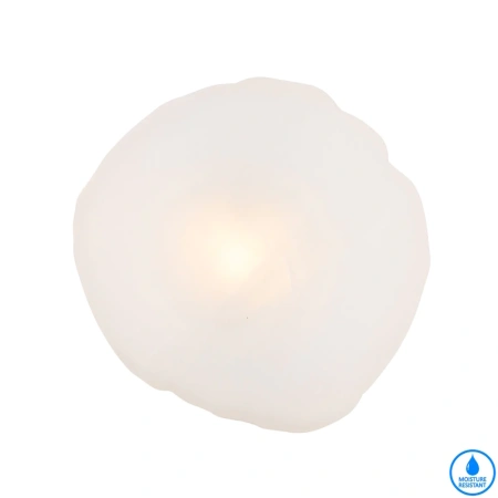 Wall light ZECCA D200 H200 IP44 BLACK FROST GLASS