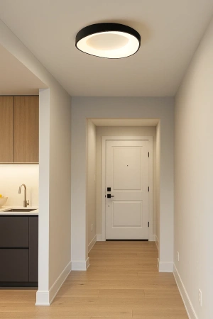 Ceiling lamp Zen 2 C40 BLK