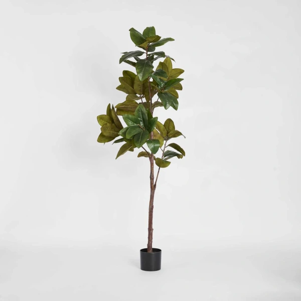 Magnolia Tree Real Touch 1.7M
