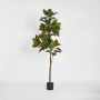 Magnolia Tree Real Touch 1.7M