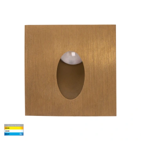 Step light MINI RECES HV3216T-BR-12V