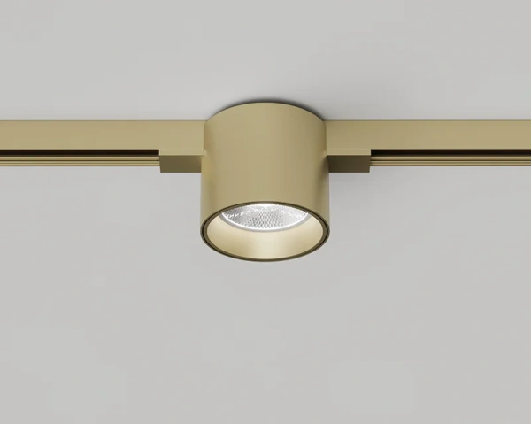 Track spotlight VERTA Brass 48V 8W CCT