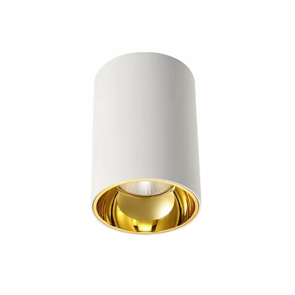 Surface downlight Gold Cylinder ZTUBE-10.95.CCT.WHG LED 10W Surface downlight Gold Cylinder ZTUBE-10.95.CCT.WHG LED 10W