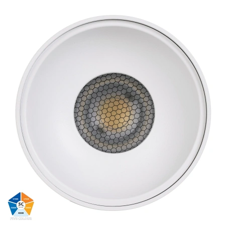 Surface downlight Nella 12V 24W 5CCT LED WHT