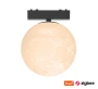 Track Moon Ball Z3057-6.OP.CCT.BK 48V 6W WIFI
