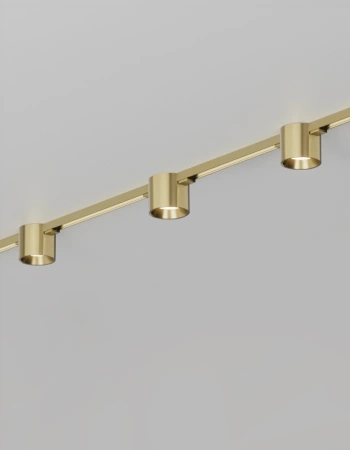 Track spotlight VERTA Brass 48V 8W CCT