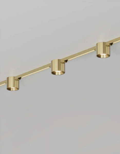 Track spotlight VERTA Brass 48V 8W CCT