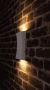 Wall light DENT-2-WB 19012