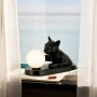 Table lamp Cat Touching Ball LED black