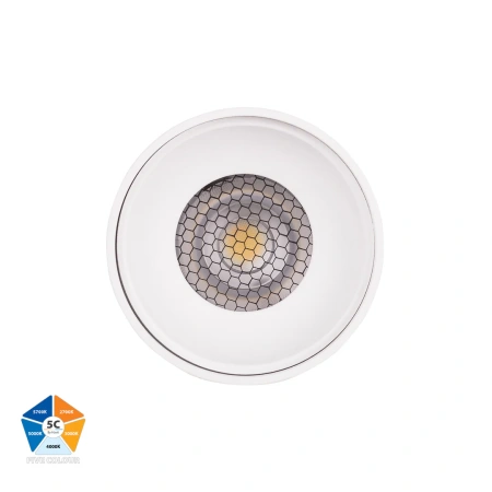 Surface downlight Nella WHT 5CCT LED 7W IP54