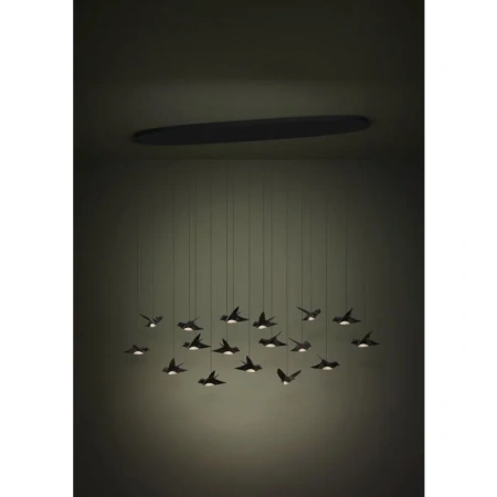 Pendant lamp Paratebueno 17 Birds LED 51W 3K BLK