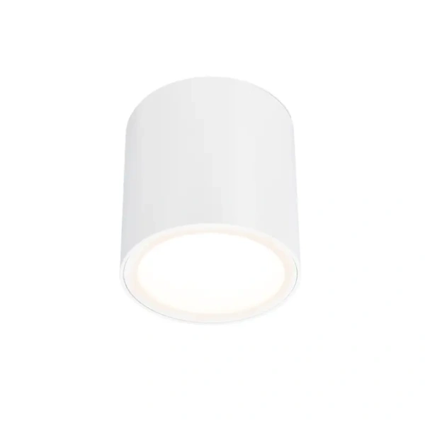 Surface downlight Cylinder Z18842-12.60.30.WH LED 12W 3K Surface downlight Cylinder Z18842-12.60.30.WH LED 12W 3K