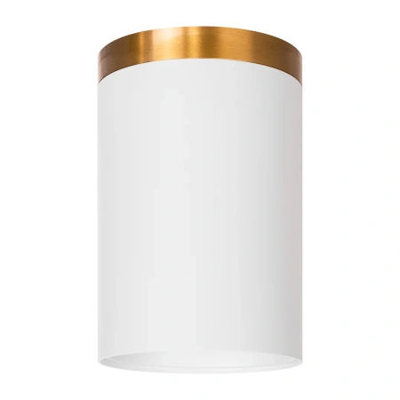 Surface downlight Gold Ring to Suit HV5844
