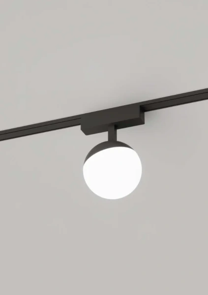 Track Opal Ball Z3055-6.OP.30.BK 48V 6W