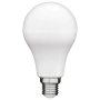 Globe E27 3000K 12W LED MGL030WE-D