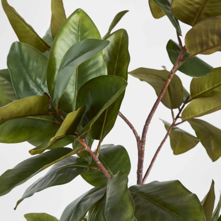 Magnolia Tree Real Touch 1.7M