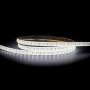 LED Strip RGBC - 5000K 16w IP54 1m