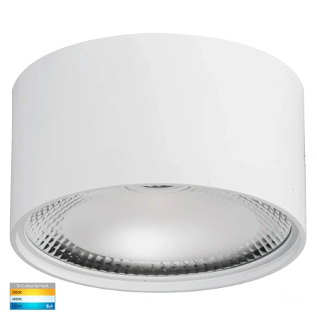 Surface downlight Nella WHT 3CCT LED 18W IP54