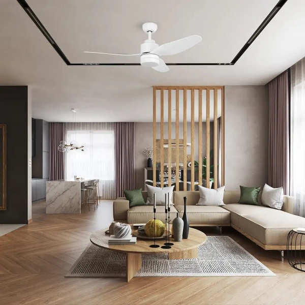 Ceiling fan Tanderra DC LED Wi-Fi WH47