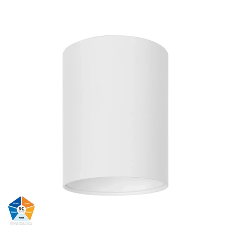 Surface downlight Nella 12V 18W 5CCT LED WHT
