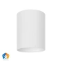 Surface downlight Nella 12V 18W 5CCT LED WHT