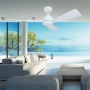 Ceiling Fan Bronte 52 DC LED 20W 3CCT WHT